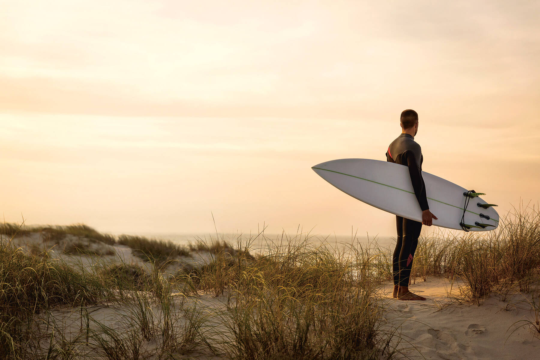 Surfer